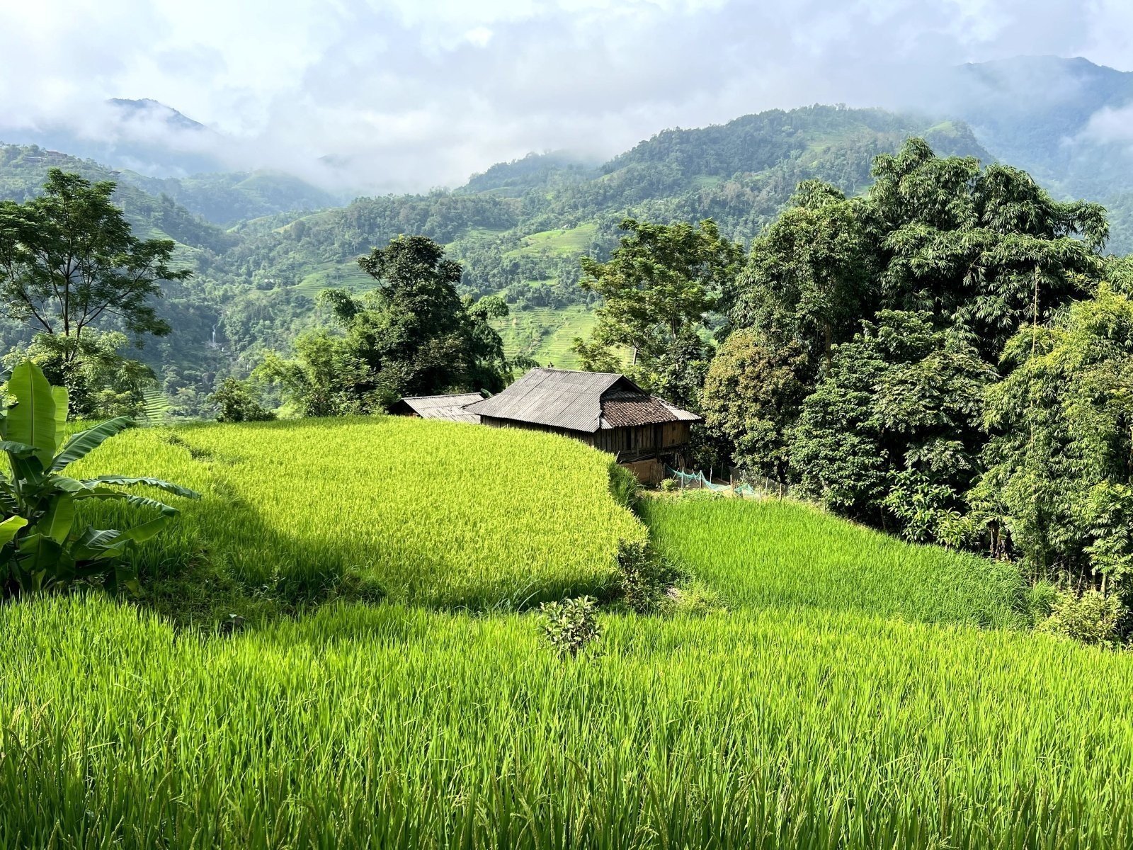 Trekking Northern Vietnam 11 Days